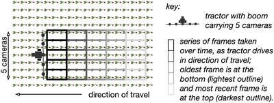 Towards practical object detection for weed spraying in precision agriculture